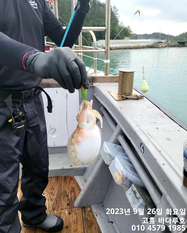 바다루호의 조황일지 이미지 - 3