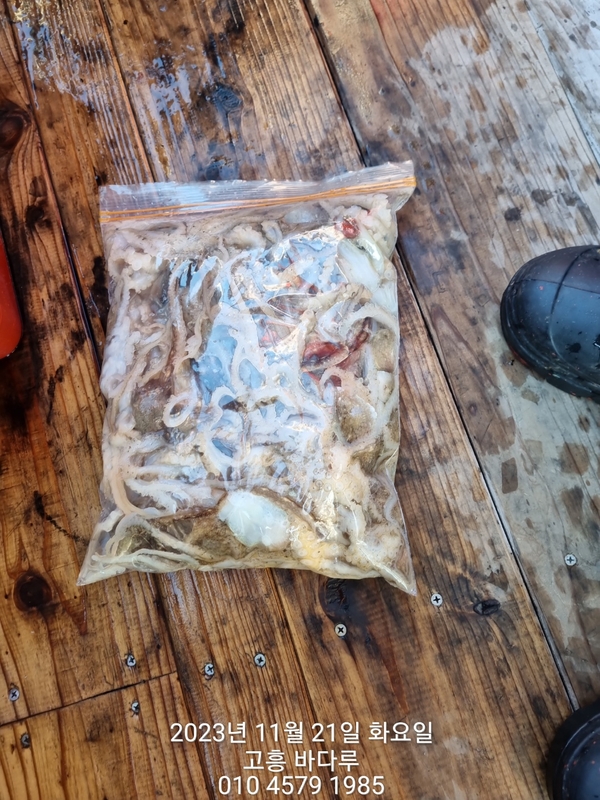 바다루호의 조황일지 이미지 - 14