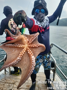 7월30일 문어낚시 힘드네요^^ 선상낚시로 잡은 물고기 조황
