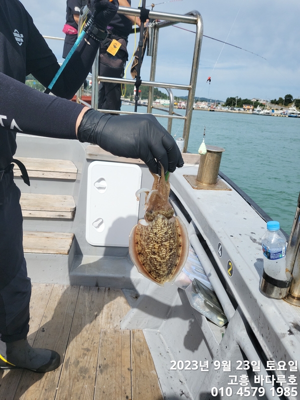 바다루호의 조황일지 이미지 - 4