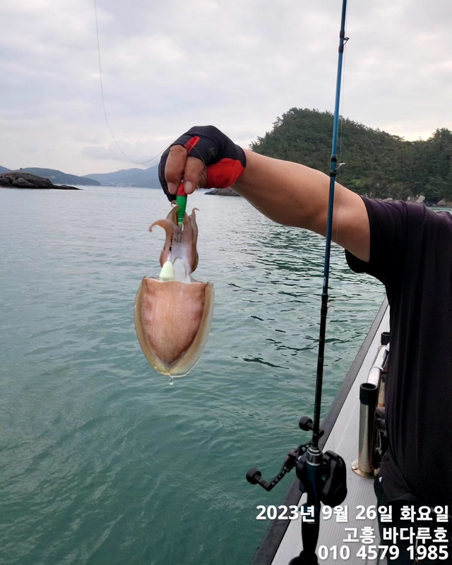 바다루호의 조황일지 이미지 - 5