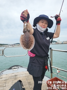 9월23일 갑오징어 조황입니다. 선상낚시로 잡은 물고기 조황