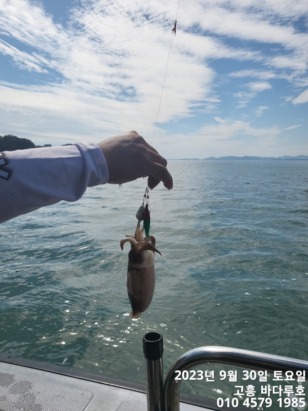 바다루호의 조황일지 이미지 - 1