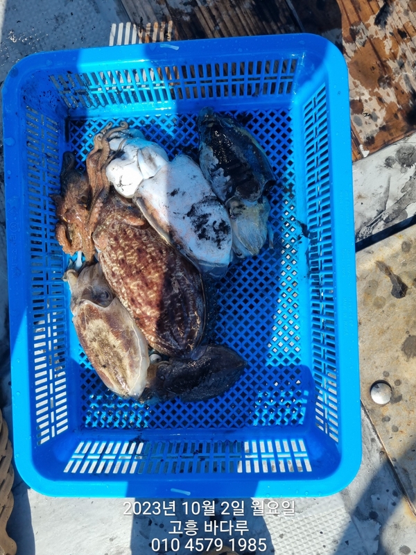 바다루호의 조황일지 이미지 - 13