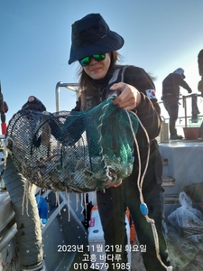 11월21일 주꾸미조황..사이즈 굿~~ 선상낚시로 잡은 물고기 조황