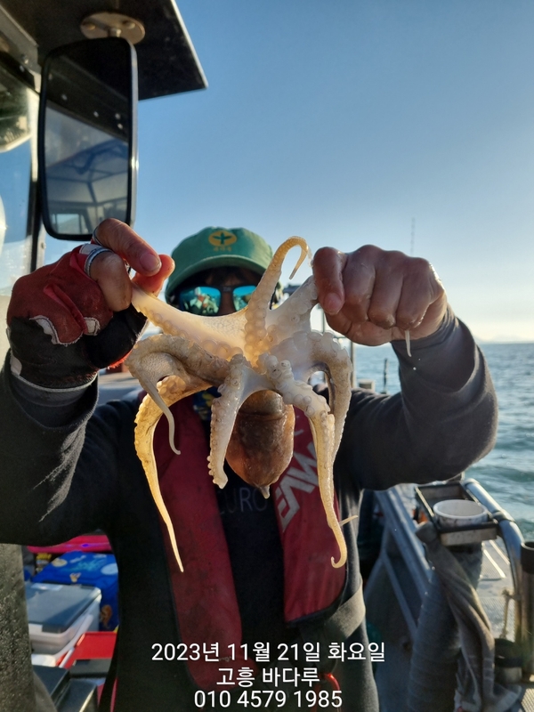 바다루호의 조황일지 이미지 - 13