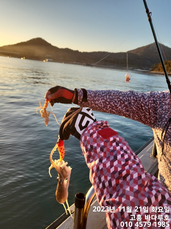 바다루호의 조황일지 이미지 - 3