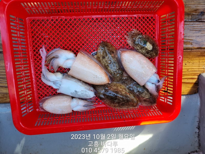 바다루호의 조황일지 이미지 - 12