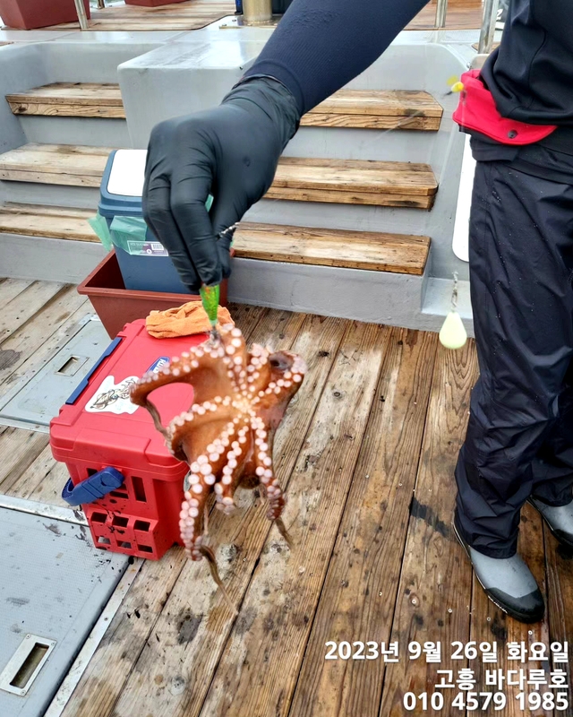 바다루호의 조황일지 이미지 - 4