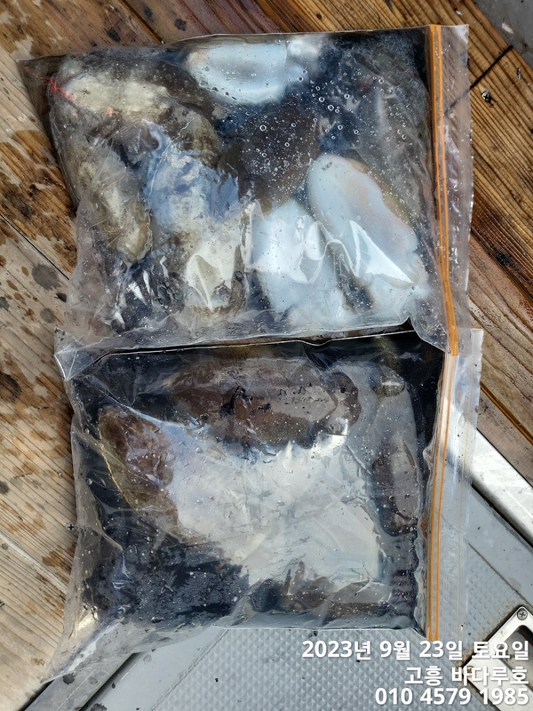 바다루호의 조황일지 이미지 - 15