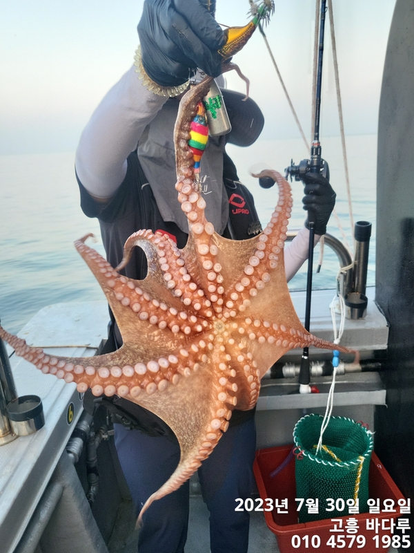 바다루호의 조황일지 이미지 - 4