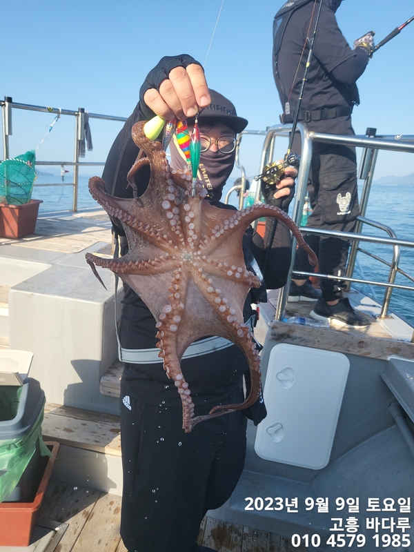 바다루호의 조황일지 이미지 - 1