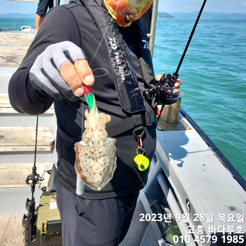 바다루호의 조황일지 이미지 - 7