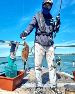 갑오징어와 숨바꼭질ㄷㄷ 선상낚시로 잡은 물고기 조황