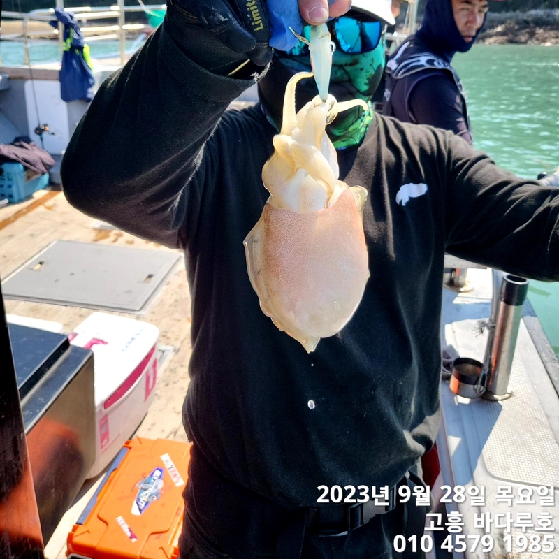 바다루호의 조황일지 이미지 - 6