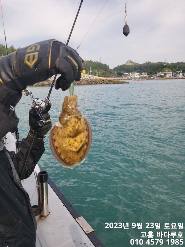 바다루호의 조황일지 이미지 - 8
