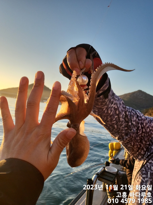 바다루호의 조황일지 이미지 - 4