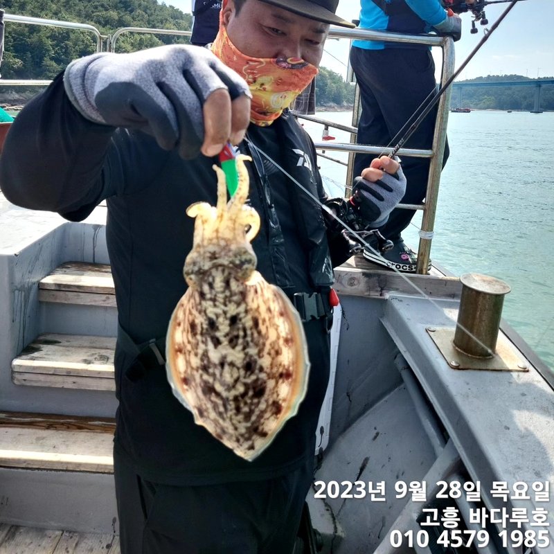 바다루호의 조황일지 이미지 - 3