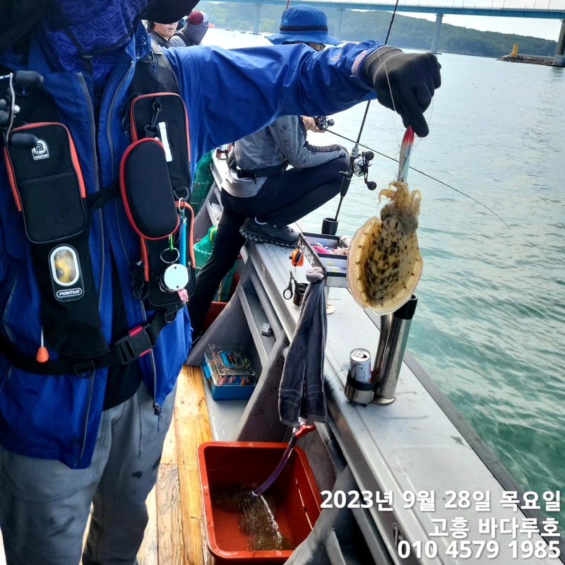 바다루호의 조황일지 이미지 - 4