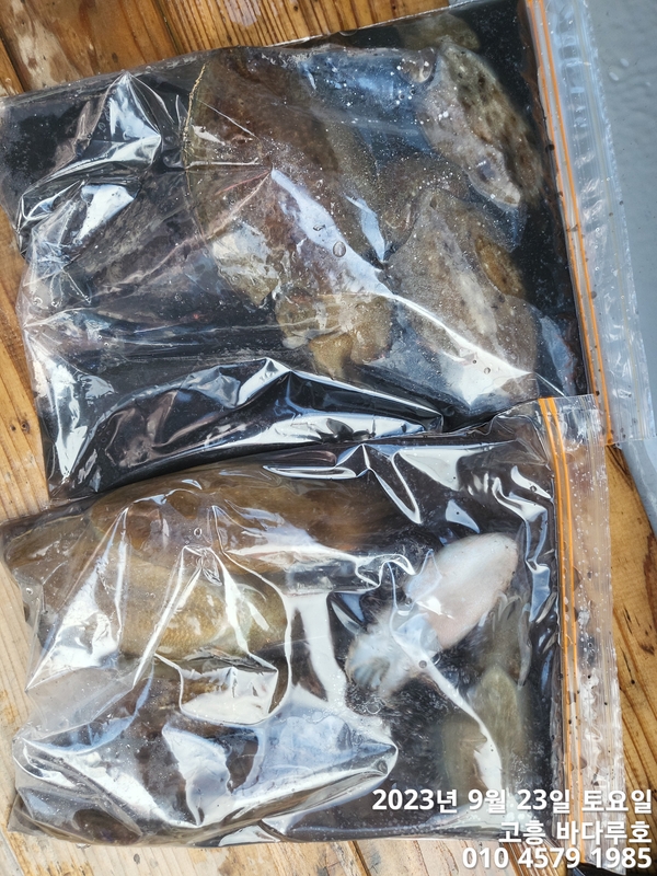 바다루호의 조황일지 이미지 - 16