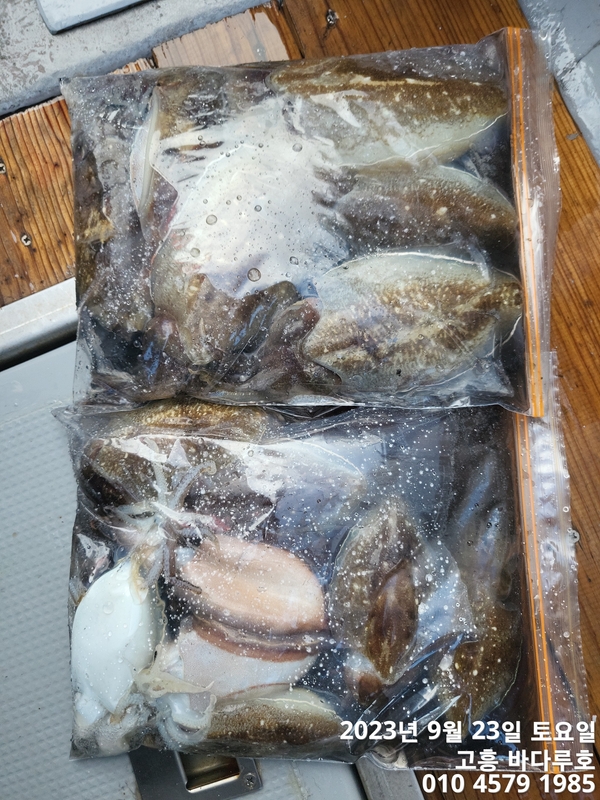 바다루호의 조황일지 이미지 - 14