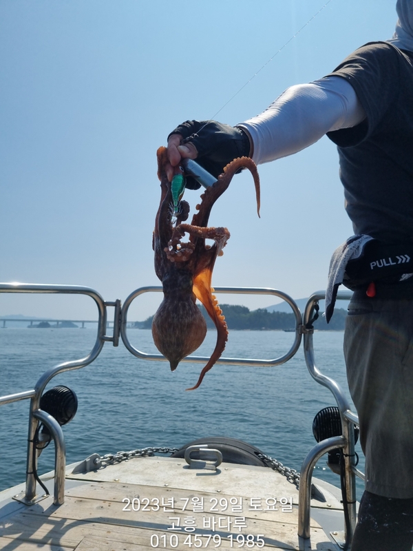 바다루호의 조황일지 이미지 - 3