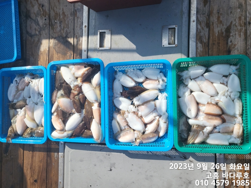 바다루호의 조황일지 이미지 - 6