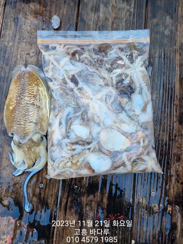 바다루호의 조황일지 이미지 - 16