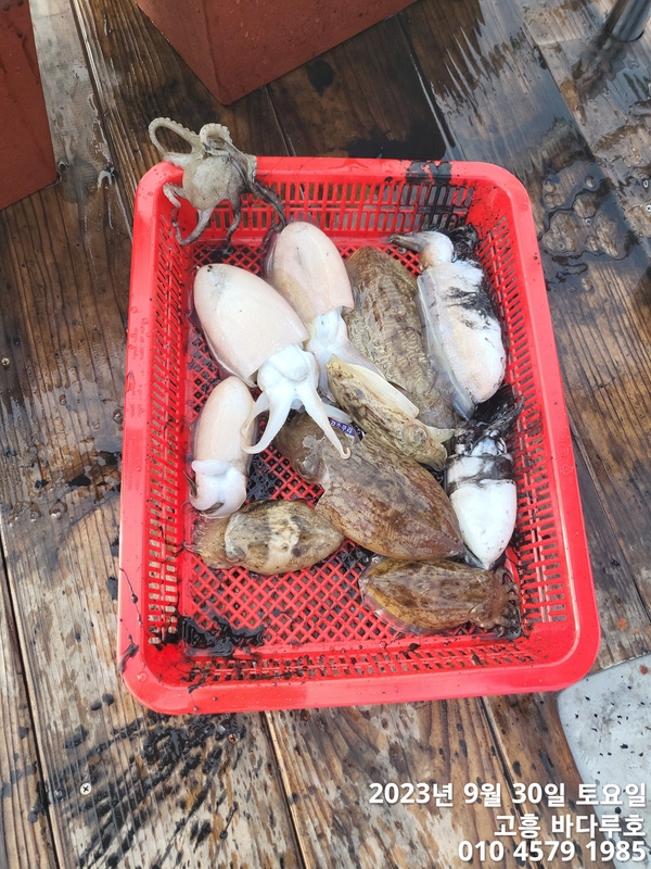 바다루호의 조황일지 이미지 - 7