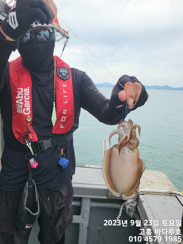 바다루호의 조황일지 이미지 - 3