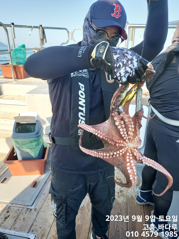 바다루호의 조황일지 이미지 - 7