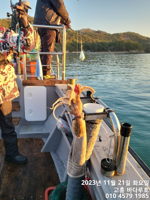 바다루호의 조황일지 이미지 - 1