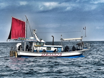실시간 예약이 가능한 바다 위에 떠있는 거진항 힐링호 낚시 선박