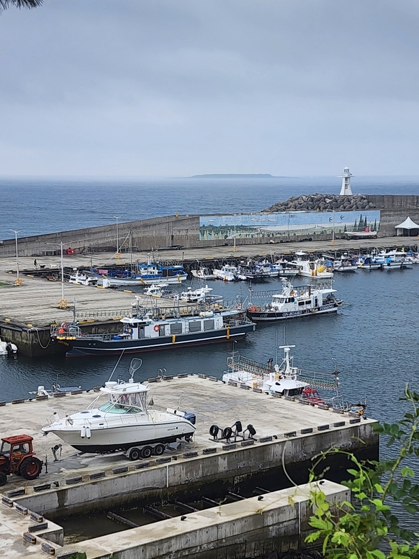 해당 선사를 대표하는 이미지