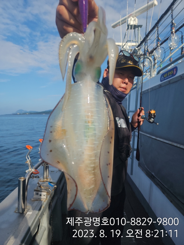 해당 선사를 대표하는 이미지
