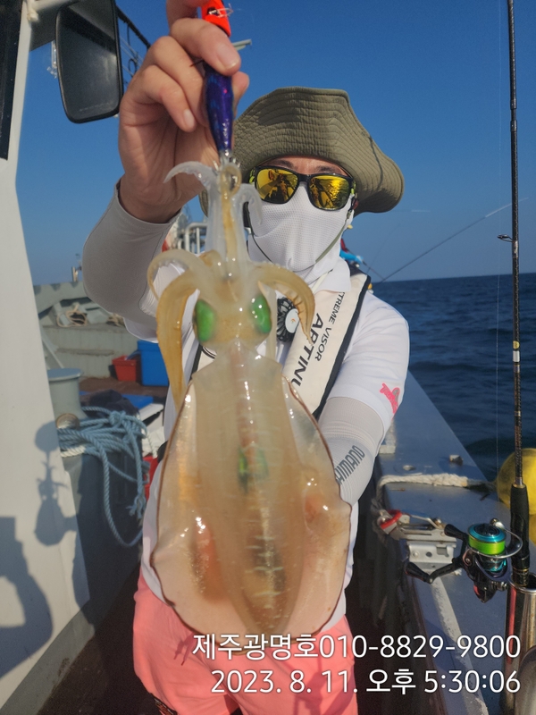 해당 선사를 대표하는 이미지