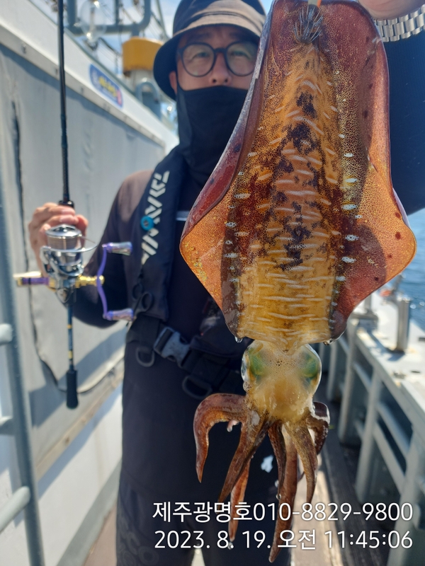 해당 선사를 대표하는 이미지