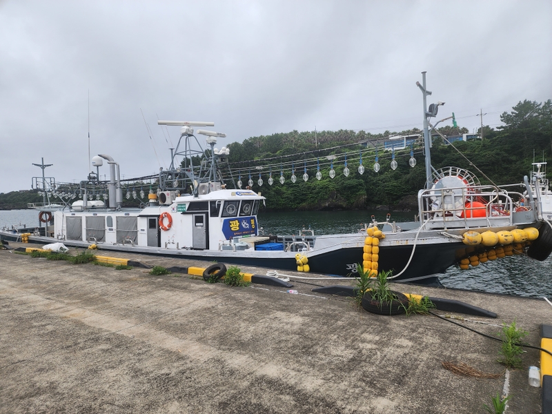 해당 선사를 대표하는 이미지