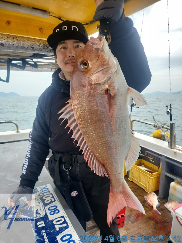 진도빅마린호의 조황일지 이미지 - 4
