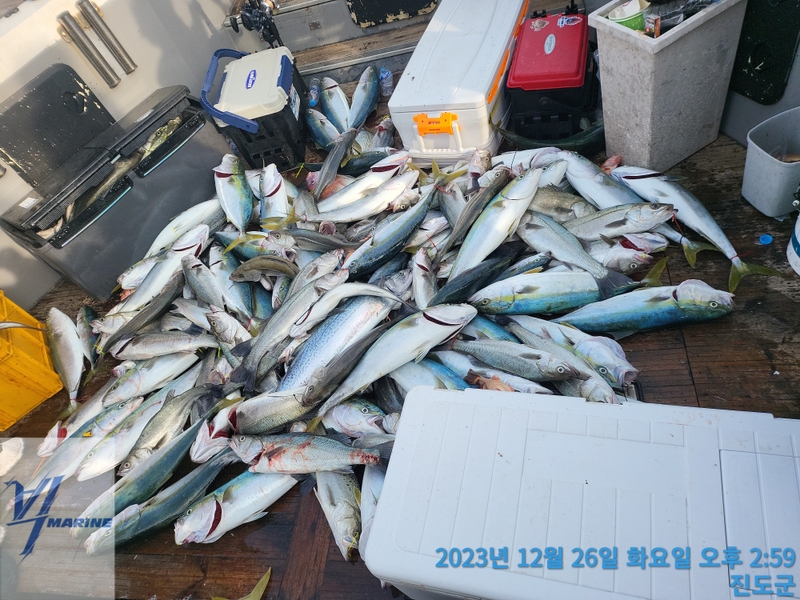 진도빅마린호의 조황일지 이미지 - 1