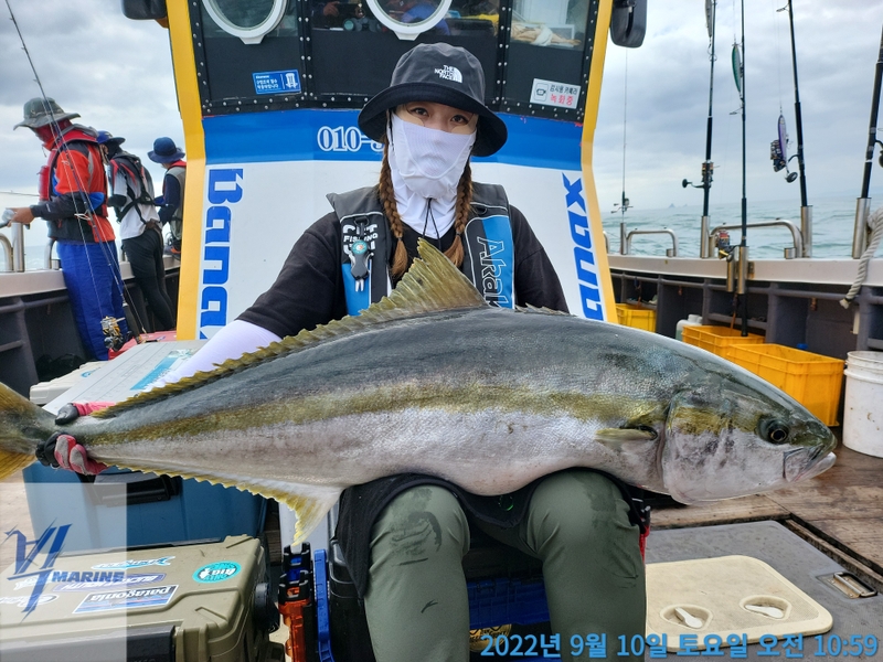 해당 선사를 대표하는 이미지