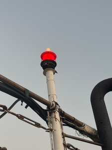 12월 9일 팁런은 나간지 30분 만에 회항 했습니다.  선상낚시로 잡은 물고기 조황