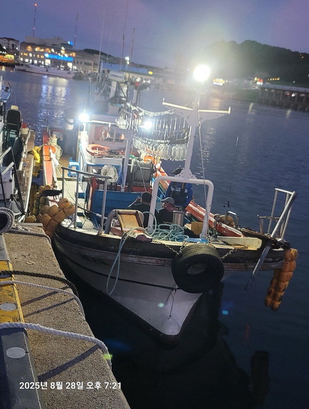 해당 선사를 대표하는 이미지