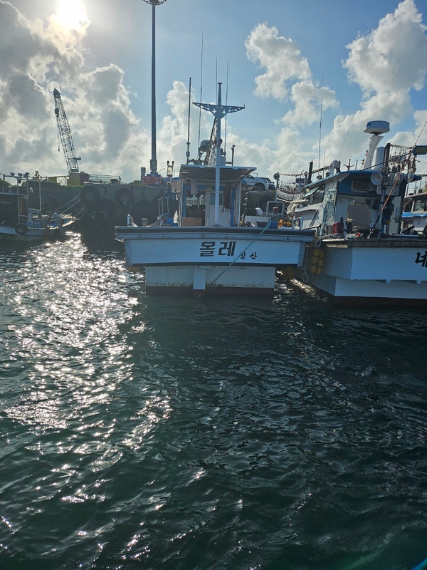 해당 선사를 대표하는 이미지