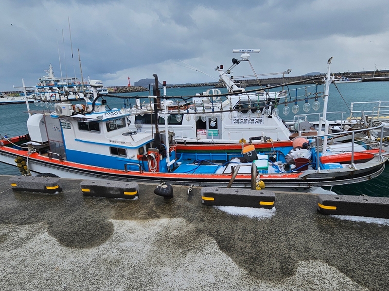 해당 선사를 대표하는 이미지