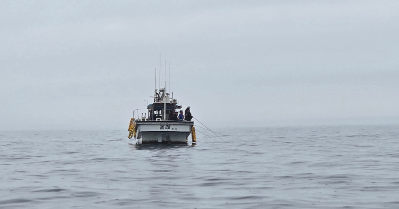 해당 선사를 대표하는 이미지
