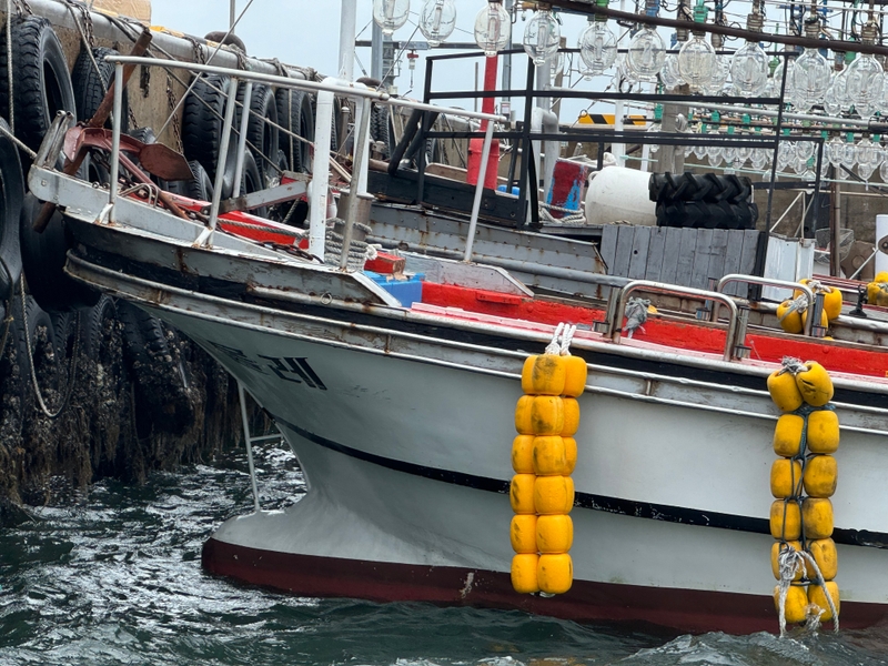 해당 선사를 대표하는 이미지