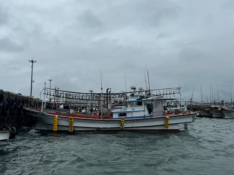 해당 선사를 대표하는 이미지