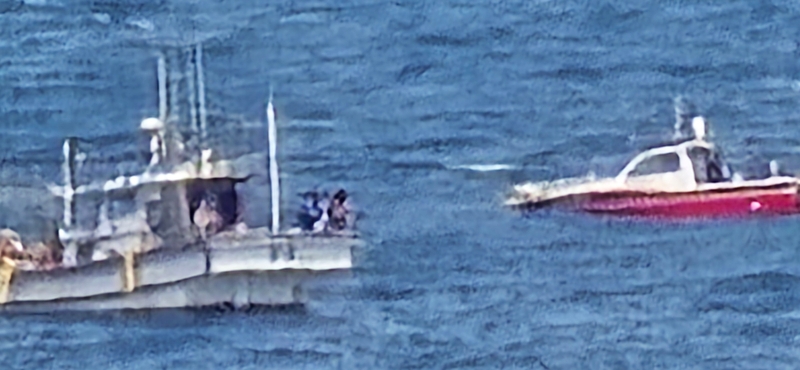 해당 선사를 대표하는 이미지