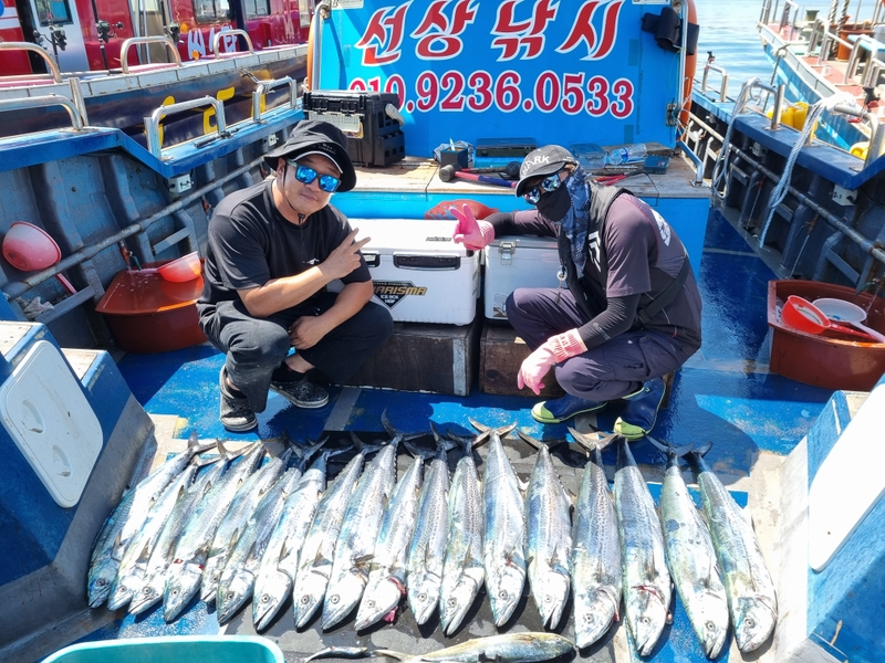 해당 선사를 대표하는 이미지